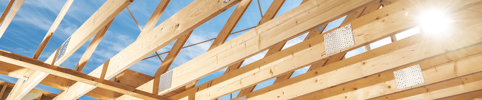 Photo of Roof Trusses